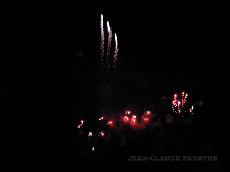 FEU D'ARTIFICE 2005 27.jpg